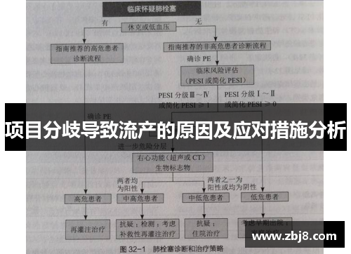 项目分歧导致流产的原因及应对措施分析